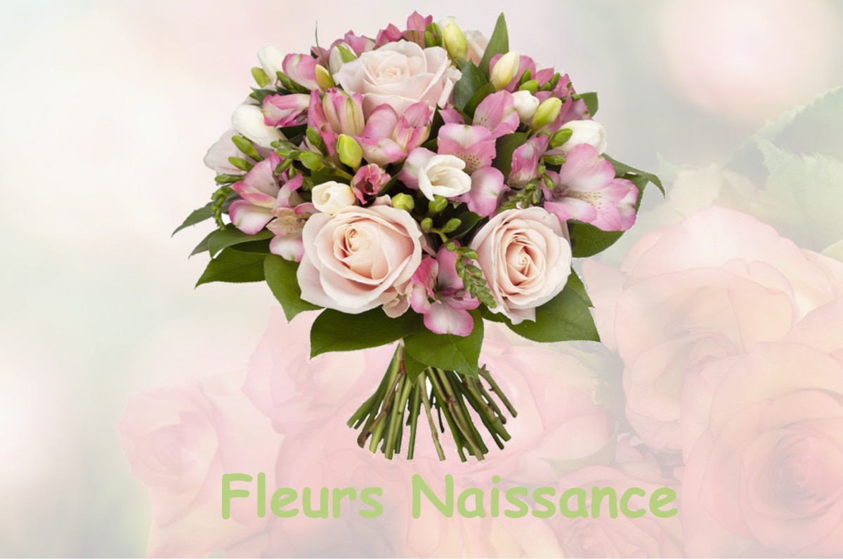 fleurs naissance SAINT-RUSTICE